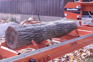 Log on the Wood-Mizer