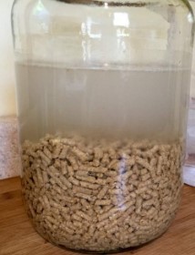 dry pellets in water