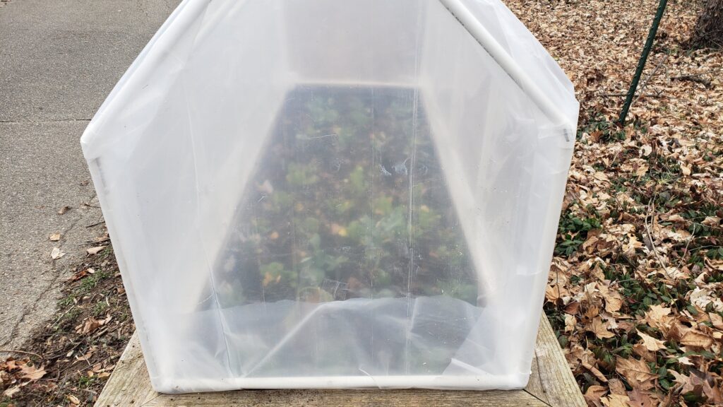 Raised Bed Greenhouse