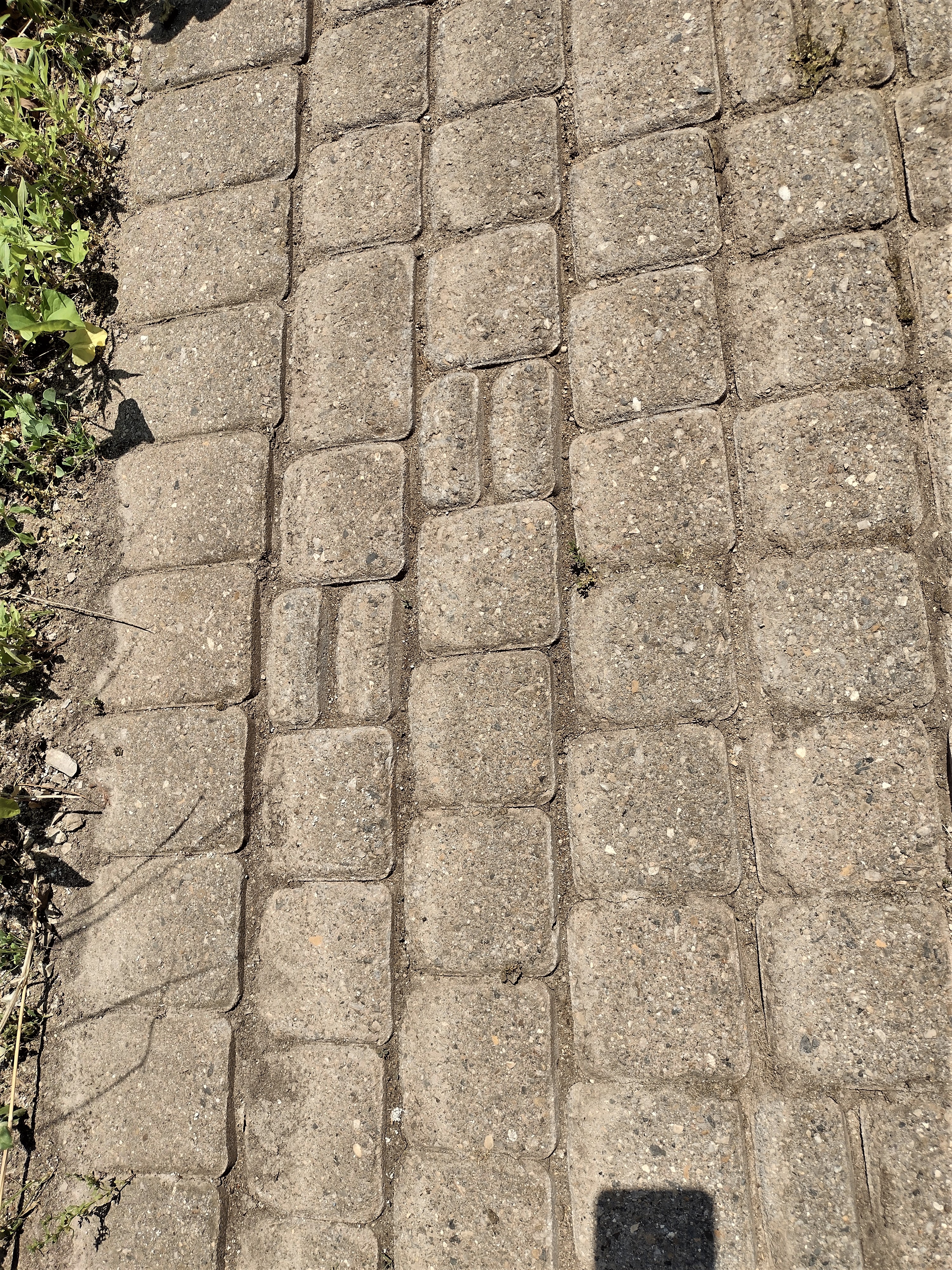 close up of the pavers after cleaning