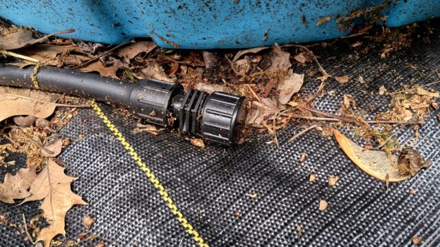 Line End with Caps