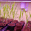 Growing Corn in the Basement