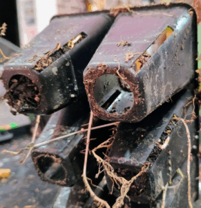 Close up of the 6 cell bottoms