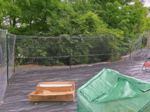 Garden fence using chicken wire and tposts.