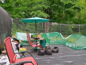 Additional new garden area pictures, table, umbrella, more small greenhouses.