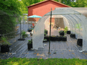 Left side of the greenhouse.