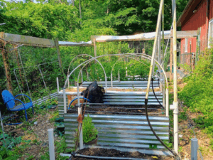 The original garden