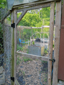 wooden door with small gauged wire covering it on the original garden