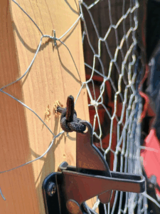 latch side of the new door with the string attached