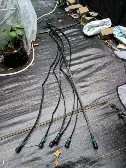 Drip Tape Assemblies