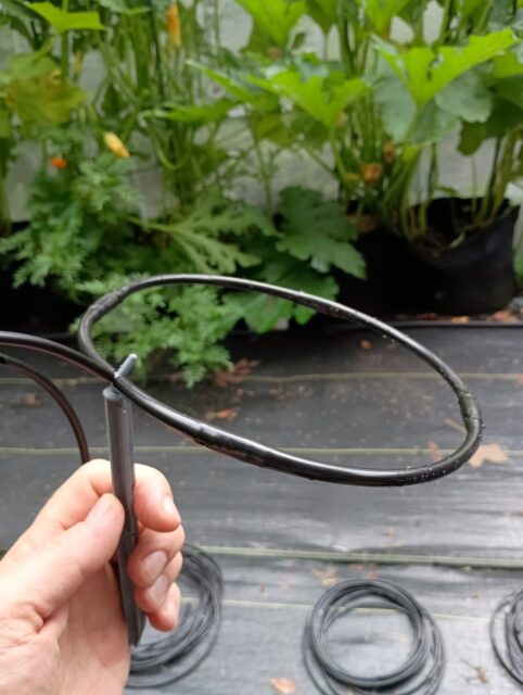 4 Emitter Drip Ring