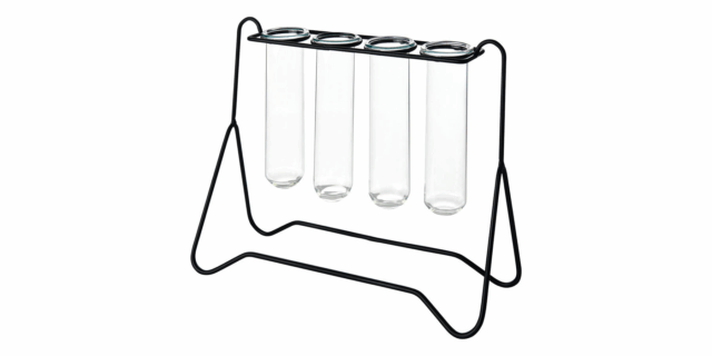 Kirkton House Propagation Vases