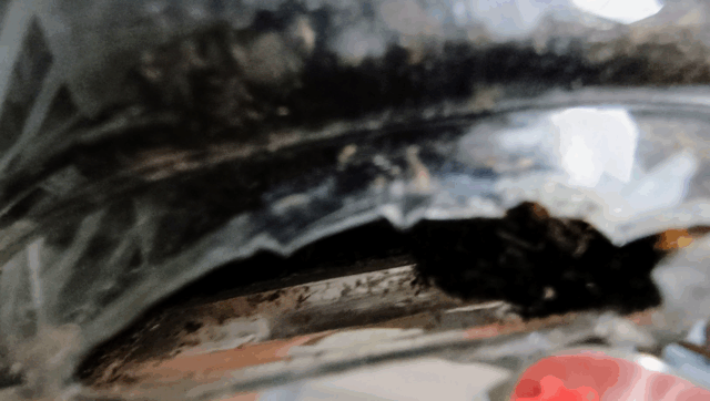 First cup with media and plant, showing a snip on the bottom