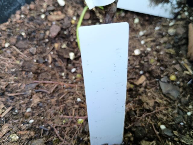 Can you tell what that says?